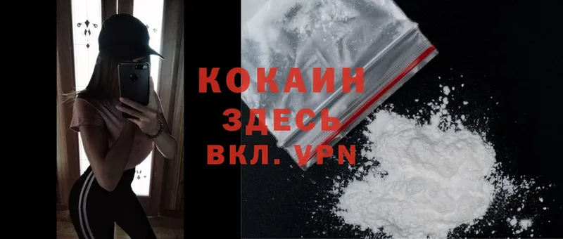 дарнет шоп  Горбатов  Cocaine 99% 